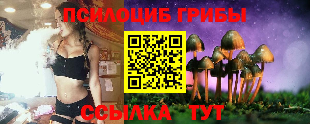Будённовск  Галлюциногенные грибы GOLDEN TEACHER  Вход с VPN 